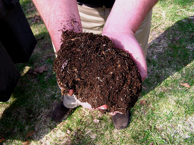 Kompost je hnojivo, nikoliv substrát k přímému využití k pěstování rostlin.