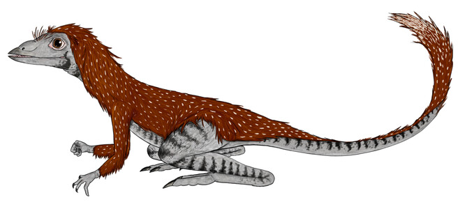Možná podoba živočicha Kongonaphon kely - prapředka dinosaurů a pterosaurů