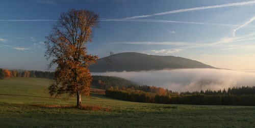 Srní, Prášily, Velký Bor