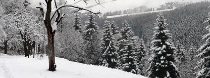 Erzgebirge v zimě Foto: abejorro34 Flickr