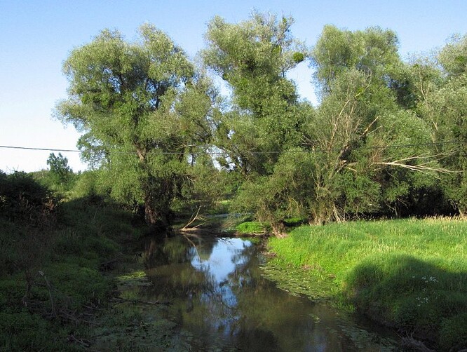 Řeka Kyjovka Řeka Kyjovka