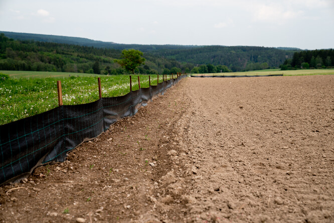 Pilotní projekt zádrže vody v krajině Centra pro vodu, půdu a krajinu České zemědělské univerzity, chytrá krajina Amálie.