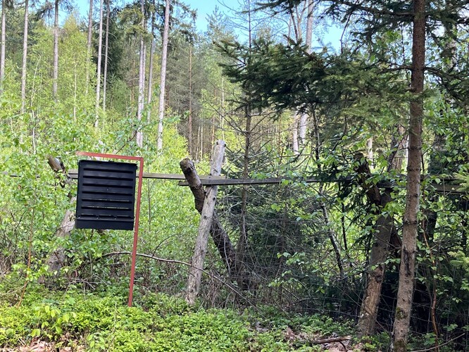 Na obranu proti kůrovci lesníci státních lesů instalovali také 13 000 feromonových lapačů.