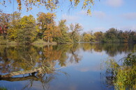 Zámecký rybník v Lednici na podzim