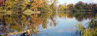 Zámecký rybník v Lednici na podzim
