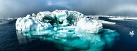 ledovec arktida