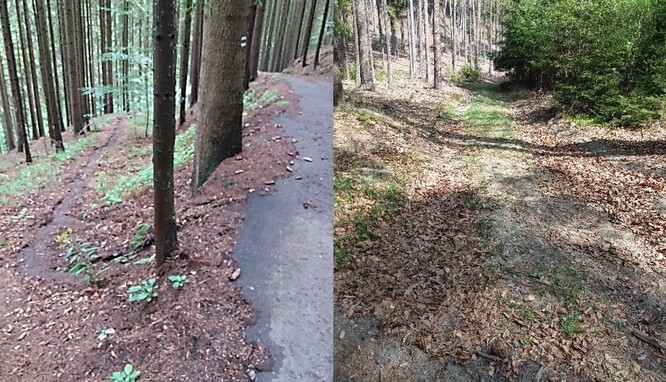 Foto 2 a 3: Po lesních cestách může voda odtékat velmi rychle.