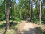 Oplocený les patřící Botanické zahradě v Praze Troji