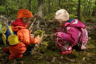 Les nabízí dětem různorodý pohyb.