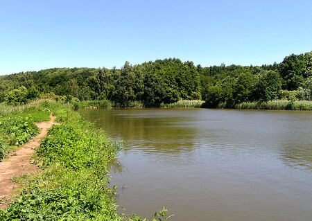 Přírodní památka Lítožnice zahrnuje tři rybníky na Říčanském potoce, přilehlé podmáčené louky a zalesněné svahy nad pravým břehem potoka.