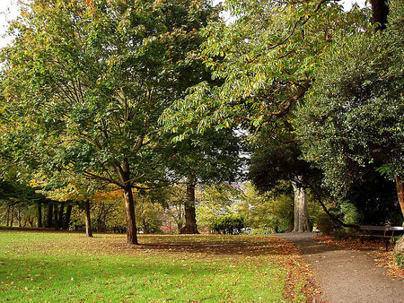 Stromy na sebe navážou nad očekávání velké množství drobných částic prachu. Na obrázku Westow Park v Londýně