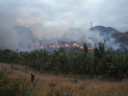 K chodu madagaskarské ekonomiky nedílně patří spalování lesů a nedá se s tím nic dělat. K chodu evropské ekonomiky nedílně patří spalování lidí, kteří se v procesu budování lepších zítřků vůbec nenarodí, a nedá se s tím nic dělat. Na ilustrační fotce vypalování porostu v oblasti Manantenina