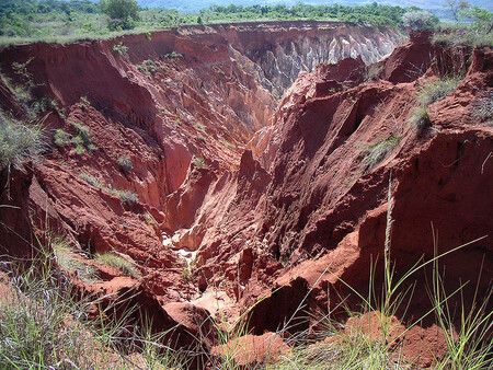 O nevratném poškozování madagaskarské přírody byla napsána nejedna stať a dobře je znám i kámen úrazu: lateritová půda, po odkrytí krvavě svítící na dálku jako otevřená rána, je neplodná. Na ilustračním snímku eroze v národním parku Ankarafantsika