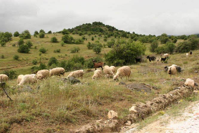 Lokalita v Makedonii. Často zde ještě byly k vidění ovce a kozy spásající vegetaci. Lokalita v Makedonii. Často zde ještě byly k vidění ovce a kozy spásající vegetaci.