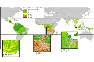 Mapa zobrazuje emise uhlíku způsobené fragmentací tropických pralesů.