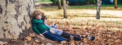 Děti odpočívající v podzimním lese Foto: Marcus Wallis Unsplash