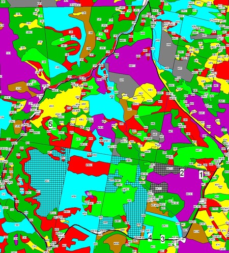 Obr. 1. Diskutované území Ptačího potoka na detailu porostní mapy LHC Modrava (platnost od roku 2004). Hranice území je vymezena silnější černou linií. Porostní skupiny určené ke kácení podle Správy NP Šumava jsou vyznačeny černou mřížkou. Vyznačené lokality 1 až 5 jsou diskutovány v textu. Mapa ve velkém rozlišení.
