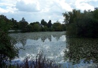 Matiční jezero v Pardubicích