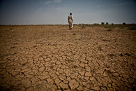 sucho v Mauretánii