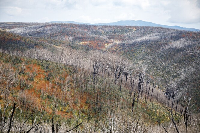 Krajina v Národním parku Kosciszko v dubnu 2022.