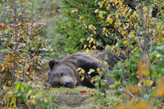 Ilustrační foto Ilustrační foto