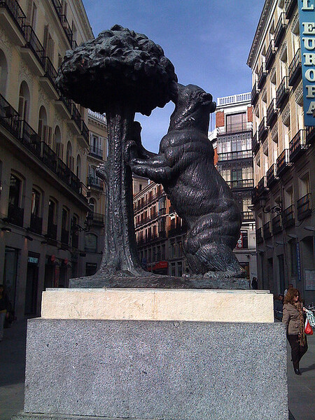 Medvěd hnědý a strom planika jsou symboly Madridu. Medvěd hnědý je také státním zvířetem Finska