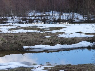 Na tomto a následujícím snímku je revitalizované desetihektarové prameniště na České Kanadě (Senotín). Snímky byly pořízeny na jaře v roce 2006, kdy odtávala extrémně vysoká sněhová pokrývka.