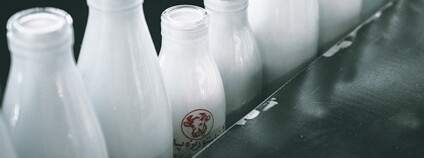 Lahve s mlékem Foto: Mehrshad Rajabi Unsplah