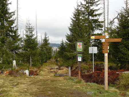 Šumavský národní park změnil návrh připravovaného rozdělení na zóny. Vyhověl většině připomínek veřejnosti.