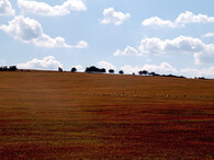 moldavské pole