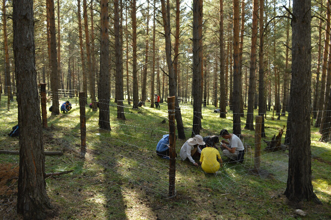 Lesníci MENDELU zahajují mezinárodní projekt v Mongolsku, pomohou zlepšit stav místních lesů