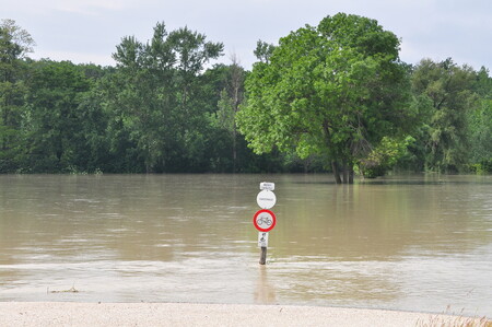 Na boj proti povodním, na šetření dešťové vody a na likvidaci starých ekologických zátěží dostanou obce dotace. Celkem je na tyto účely vyhrazena miliarda korun. Na snímku povodeň na řece Moravě.