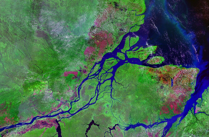 Poslední výzkumy potvrdily, že hlavním pramenem Amazonky je řeka Carhuasanta. Peruánská vláda pak Janskému za jeho činnost udělila zlatý řád a šlechtický titul. Ilustrační foto