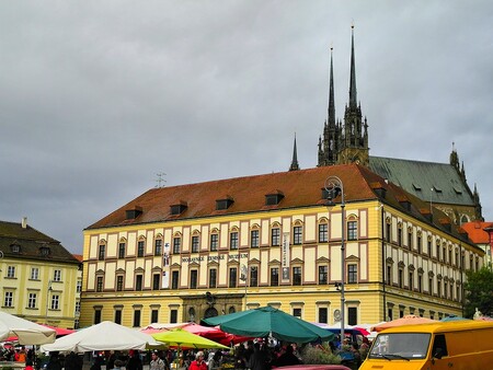 Moravské zemské muzeum na měsíc vystaví vzácné předměty ze své geologicko-paleontologické sbírky. Moravské zemské muzeum na měsíc vystaví vzácné předměty ze své geologicko-paleontologické sbírky.