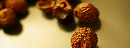Mýdlové ořechy se kvůli obsahu saponinů používají jako alternativní prací prostředek. Podle výsledků testů ale moc neperou.