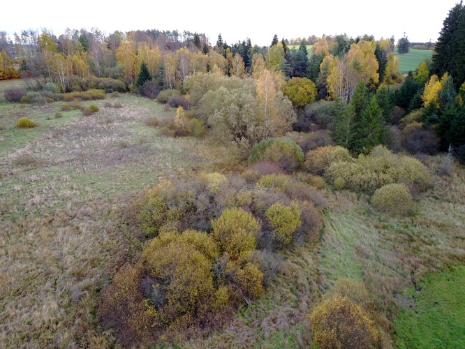 Lokalita Na Skřivánku je podle ochránců převážně tvořená podmáčenými a rašelinnými lukami, postupně ale zarůstá náletovými dřevinami.