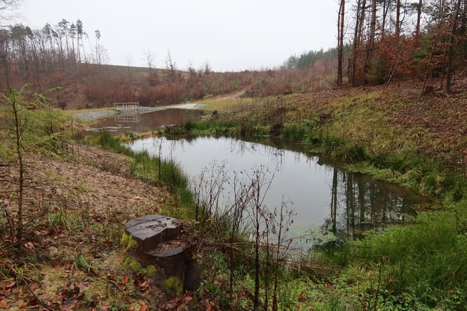 Vojenské lesy dokončily tři nová vodní díla na Drahanské vrchovině - lokalita Na Valech.