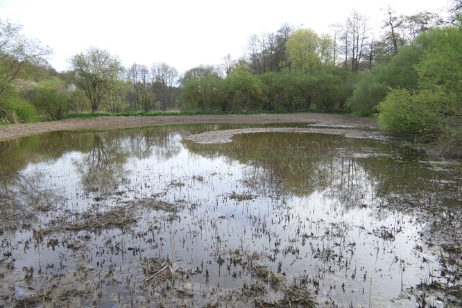 Místo pro přírodu Nad Hájkovským rybníkem na Rakovnicku. Místo pro přírodu Nad Hájkovským rybníkem na Rakovnicku.