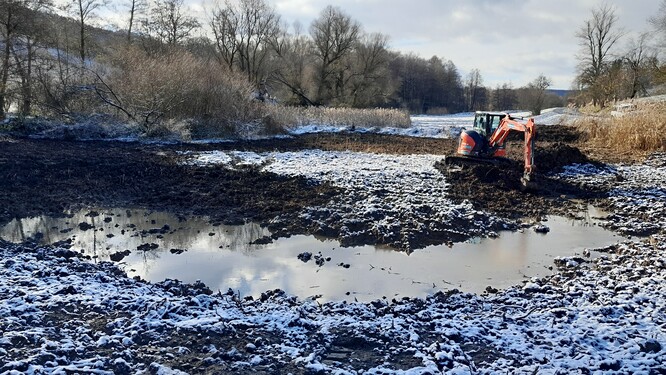 Bagrování tůně nad Hájkovským rybníkem. Bagrování tůně nad Hájkovským rybníkem.
