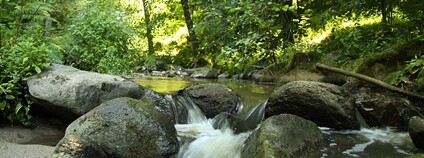Vlásenický potok na Táborsku Foto: Chmee2 Wikimeda Commons Vlásenický potok na Táborsku Foto: Chmee2 Wikimeda Commons