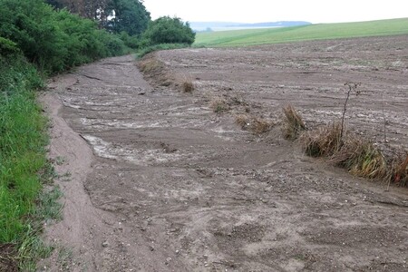 Nedodržování osevních postupů v klasickém zemědělství vede v kombinaci s přívalovými dešti k silné erozi půdy. Na snímku pole u obce Němčovice.