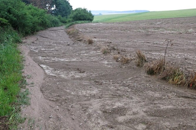 Vodní eroze z pole odnáší úrodnou ornici.