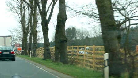 Obrázek 5 – Stromy v krajnici dopravně významné silnice – Německo. Za ohradou se však staví nová, směrově dělená komunikace.