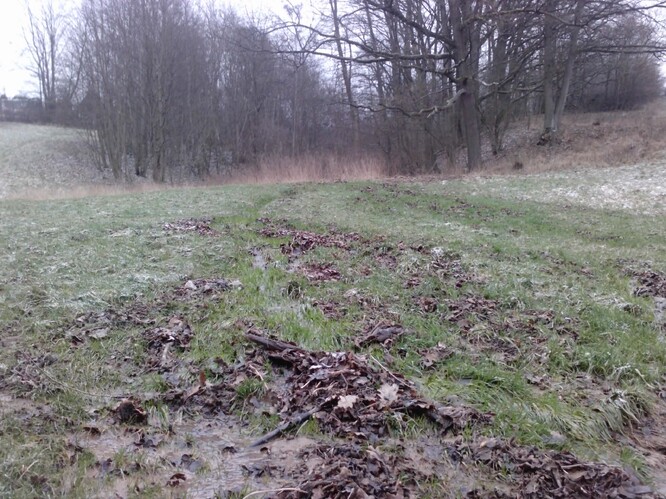 Niva pod lesem je rok od roku vyšší. Niva pod lesem je rok od roku vyšší.