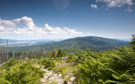Šumava patří mezi nejstarší pohoří střední Evropy, zároveň představuje místo výskytu mnoha úchvatných rostlinných a živočišných druhů.  / Pohled na Šumavu z Plechého