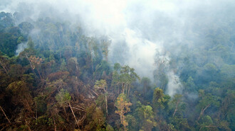 Dronem pořízený snímek kouře vycházejícího z rašeliniště. Místní prales je domovem orangutanů. Požár se nachází nedaleko Národního parku Gunung Palung, Kayong Utara na západním Kalimantanu. Na oblast se vztahuje moratorium na nová povolení, umožňující zásahy do rašeliniště.