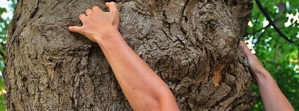 Foto:Martin Mach Ondřej / Ekolist.cz Foto:Martin Mach Ondřej / Ekolist.cz