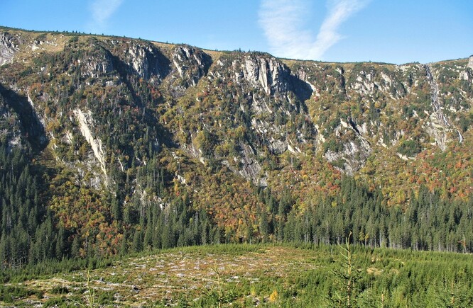 Obr. 14. Listnaté „křivolesy“ zřetelně vymezují lavinové dráhy v Labském dole a jsou výrazné zvláště na podzim díky zbarvení listů.