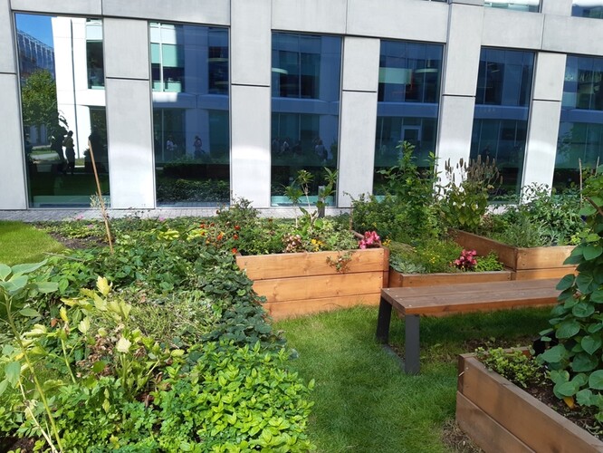 Obr. 17. Komunitní zahrada u Praga Studios Obr. 17. Komunitní zahrada u Praga Studios