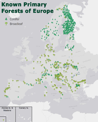 Na světě je první kompletní mapa evropských pralesů. Ze studie autorů Sabatini a kol., 2018 vychází najevo, že evropský kontinent (nepočítaje Rusko) ukrývá více než 1,4 milionů hektarů přirozených lesů.
